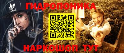СК Старая Купавна