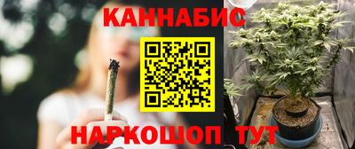 стафф Ставрополь