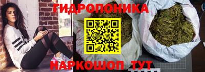 стафф Ставрополь