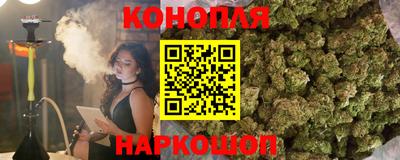 стафф Ставрополь