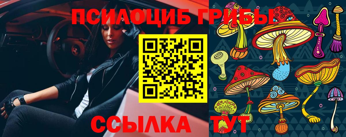 Галлюциногенные грибы Новочебоксарск