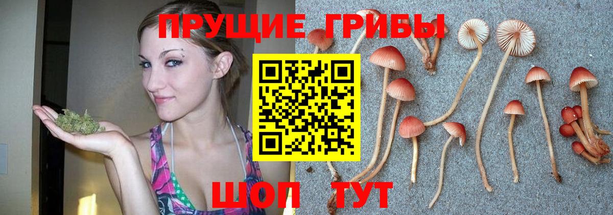 Галлюциногенные грибы GOLDEN TEACHER Новочебоксарск