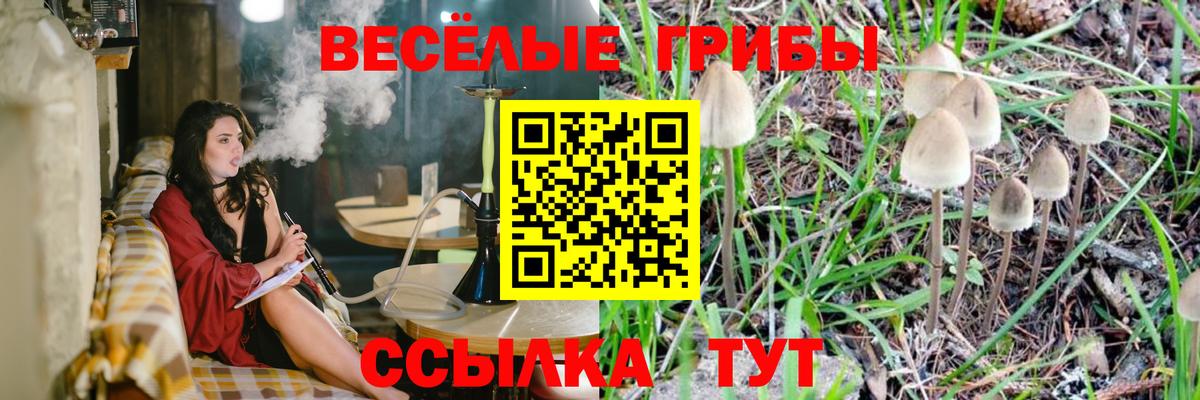 Новочебоксарск  Псилоцибиновые грибы мицелий  купить  сайты  Вход с VPN 